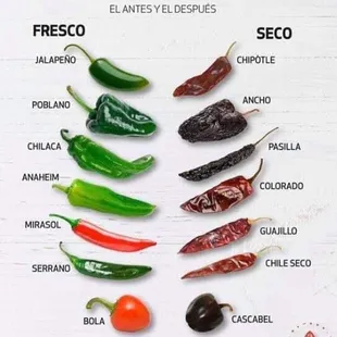 the different types of chilis