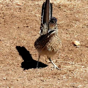 He's trying to talk!