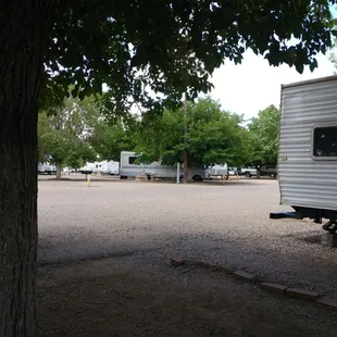 A day under the tree