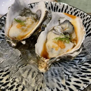 two oysters on a plate