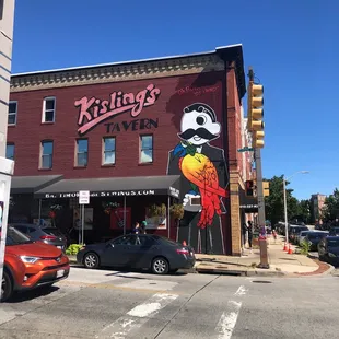 a mural of a parrot on the side of a building