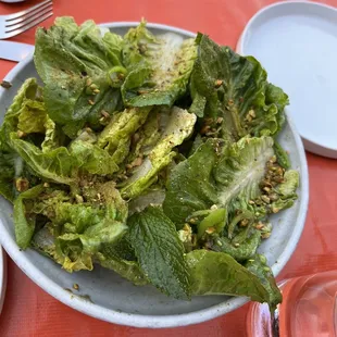 Little Gem Lettuce