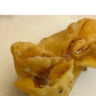 Crab Rangoon featuring dead wasp fried to my food