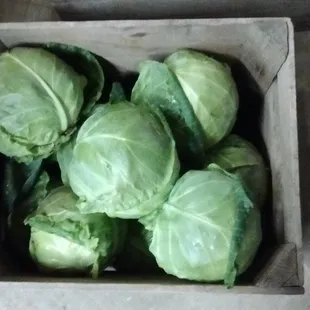 Homegrown cabbage!