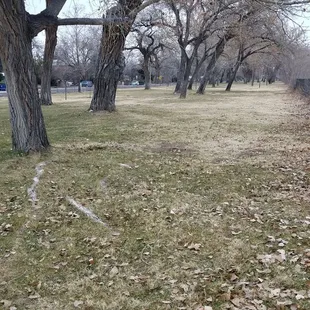1/6/2019 walking along the outer trail of Kit Carson park