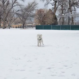 Graveyard and outdoor theater in background