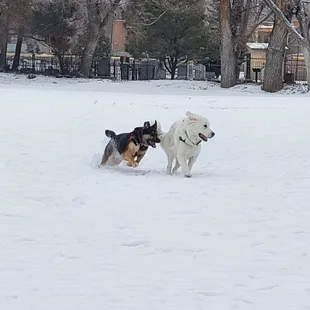 Open field we were off leash for about 5 min.