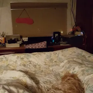 In bed, ready for lights out!