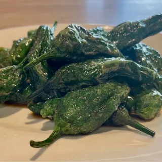 Fried Shishito Pepper