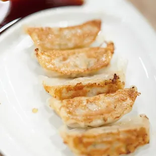 Pan Fried Gyoza