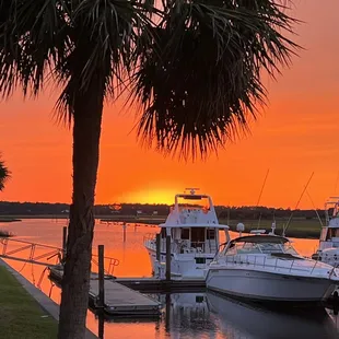 Kitchen 251, Amelia Island Marina