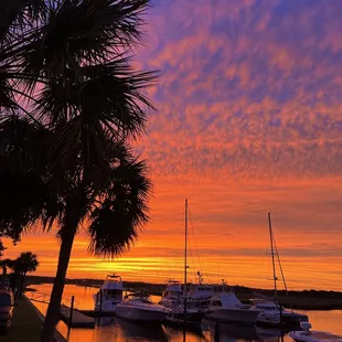 boats docked at a marina at sunset