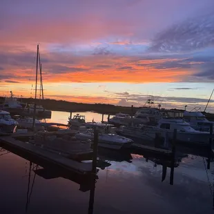 Kitchen 251, Amelia Island Marina