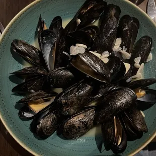 food, mussels, oysters and mussels, shellfish, oysters