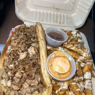 Salmon Philly - was a little dry and fries were overcooked
