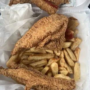 2pc catfish platter w. fries