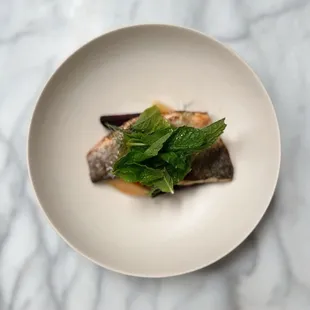 oysters, mussels, shellfish, food, oysters and mussels