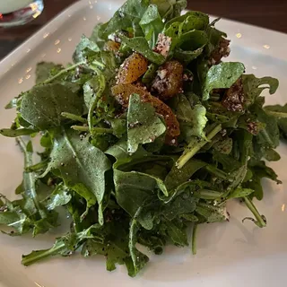 organic arugula salad with sumac, Turkish apricots & farmers cheese