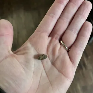 The rock I found in my Kung Pao chicken.