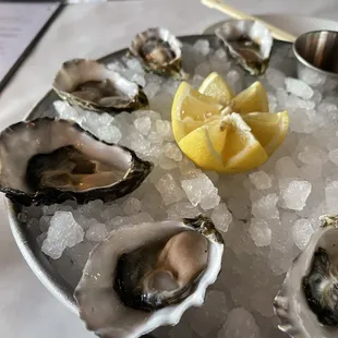 food, shellfish, oysters, oysters and mussels, mussels