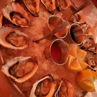 kumamoto oysters