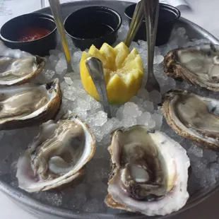 Blue Point Oysters