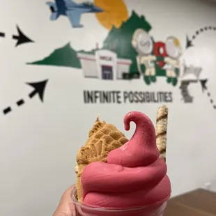 Taiyaki with pomegranate dole whip
