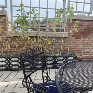 a table and chairs with sunflowers in the background