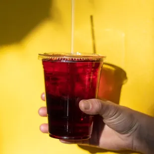 Hibiscus Tea