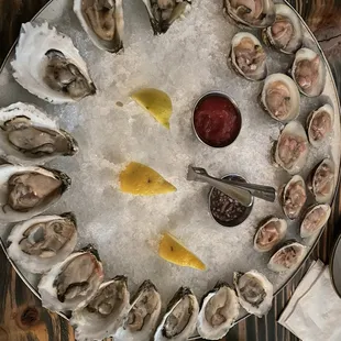oysters &amp; clams