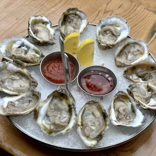 Oysters