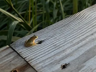 North Carolina Aquarium on Roanoke Island