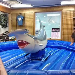 this place has a bucking hammerhead you CAN RIDE!