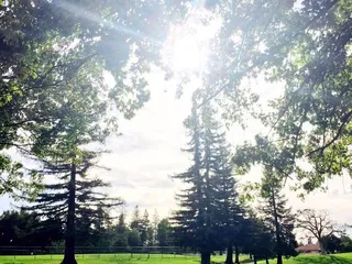 Beckman Park