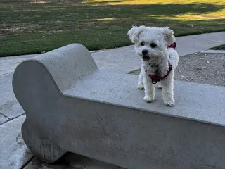 BarkleyVille Dog Park
