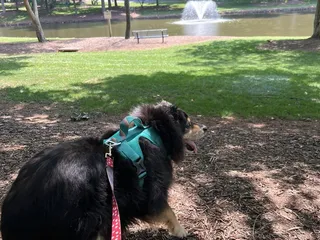 Martin Luther King Jr Park