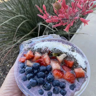 a hand holding a bowl of fruit