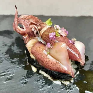 Firefly Squid