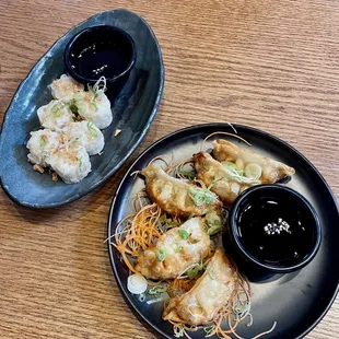 Shumai and Chicken Gyoza