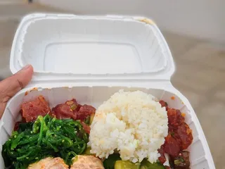 Fresh Catch