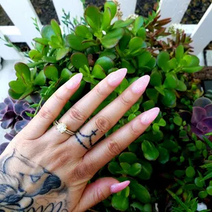 Beautiful new set by Kao :)