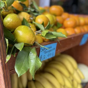 bananas, oranges, and lemons