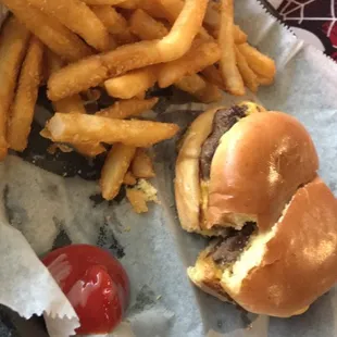 Cheeseburger (plain) with fries.