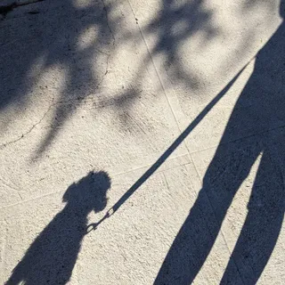 Sunny M.