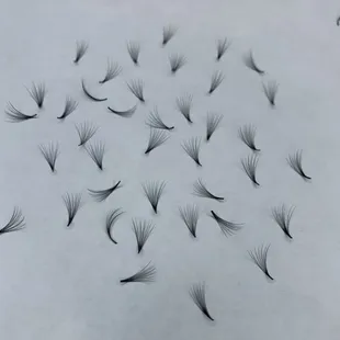 All of my fans are handmade by me. The number of extensions that make up a fan depends on how strong your natural eyelashes are.