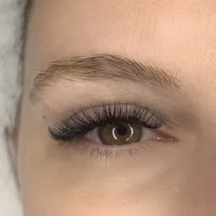 Volume lashes