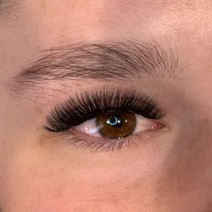 Volume lashes