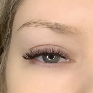Volume lashes