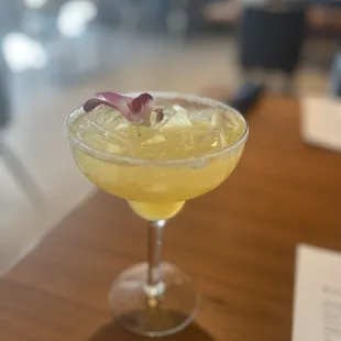 PYT Margarita