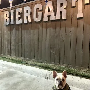 @neptunethefrenchie @surrealfrenchies